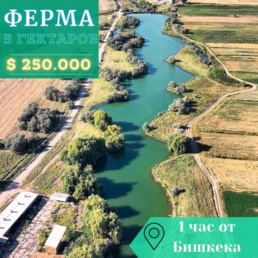 продаю дом рабочий гарадок: Продаю Рыбное хозяйство, 1700 соток, Электричество, Скважина