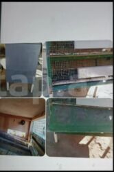 cennet qusu: Qəfəs satılır qiyməti 45 manat deyilir real alıcılar zəng etsin