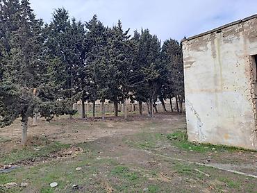 Torpaq sahələrinin satışı: 25 sot, Kupça (Çıxarış) — 5