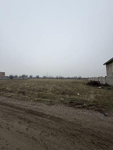 15 соток, Курулуш, Кызыл китеп, Сатып алуу-сатуу келишими — 2