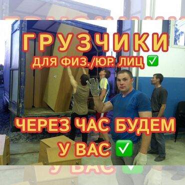 швея надом шым: Жүк ташуучу. 6 жылдан ашык тажрыйба