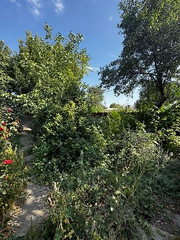 Продажа коттеджей и домов: 🏡 Продается просторный дом в селе Люксембург 📍 Улица Советская — тихое — 14