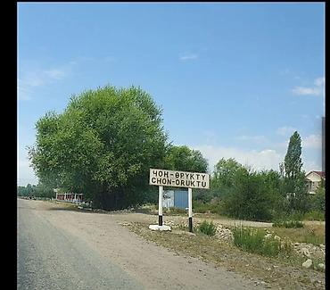 куплю дом в чалдоваре: Продаются земельный участок 8 соток в с. Чон-Орукту, ж/м «Жангак» — 1