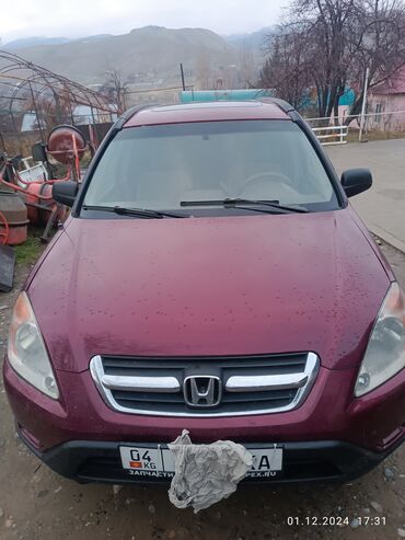 Honda: Honda CR-V: 2004 г., 2.4 л, Автомат, Бензин, Внедорожник