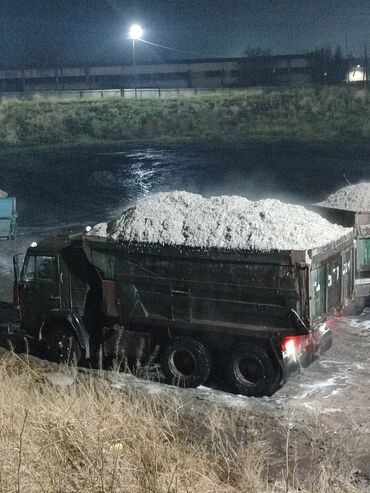 срочно продаю в связи с переездом: Свежий свекловичный жом (влажный), доставка самосвалом КамАЗ. - Объем