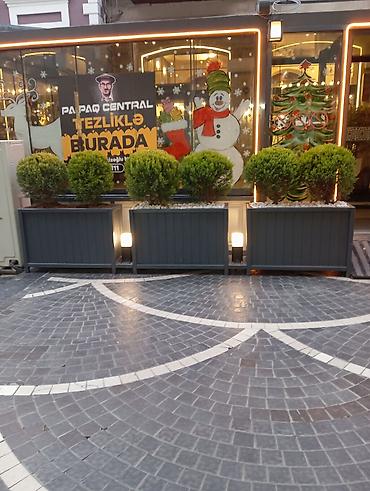 turizm şirkəti satılır: Isdelinen Dipceklerin hazirlamasi Metresi 90 azn — 2
