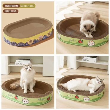 Зоотовары: ПРОДАЮ КОШАЧЬЮ МЯТУ(АНТИСТРЕСС),ПОРАДУЙТЕ СВОГО КОТИКА ТАКОЙ — 5