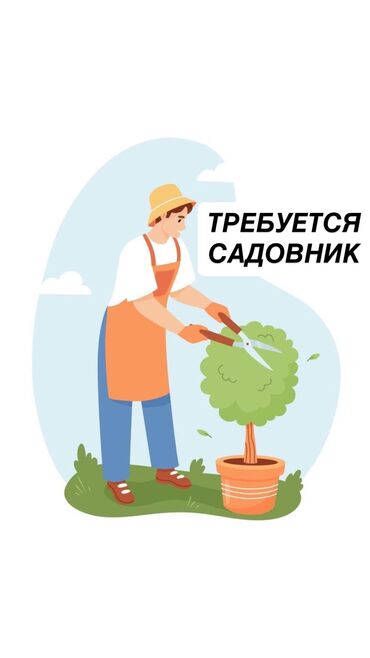 работа официант ночная смена: 🔧🌿 Ищем мастера на все руки / Садовника в Байтик! 🔧🌿 💵 1 500–2 500