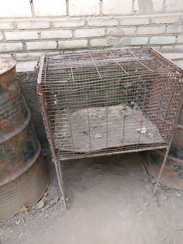 продажа алабаев: В Панфиловском районе г.Каинда Продаются клетки для утят и цыплят и