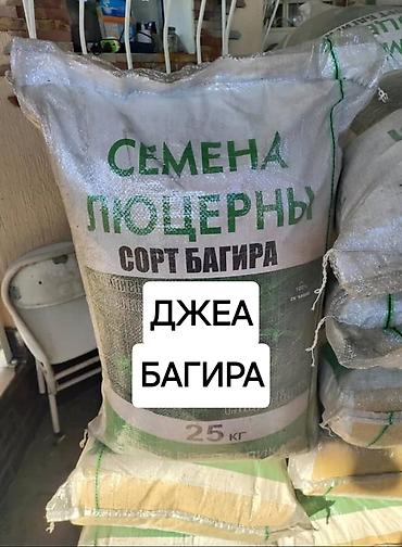 Другие зерновые культуры: ОПТОМ ОПТОМ Беде Урук Беде урук беде урук Беде Урук Джеа Багира at lalafo.kg — 6 Другие зерновые культуры: ОПТОМ ОПТОМ Беде Урук Беде урук беде урук Беде Урук Джеа Багира — 6