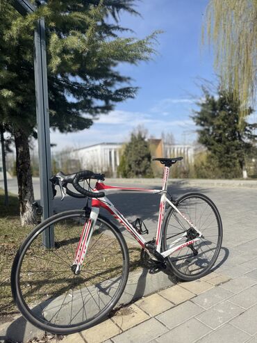 velisoped: İşlənmiş Şose velosipedi Giant, 28", sürətlərin sayı: 20, Ünvandan götürmə, Ödənişli çatdırılma