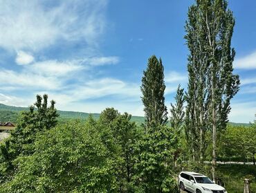 Günlük kirayə evlər: 200 kv. m, 6 otaqlı, Artezian quyusu, İnternet, Telefon — 23