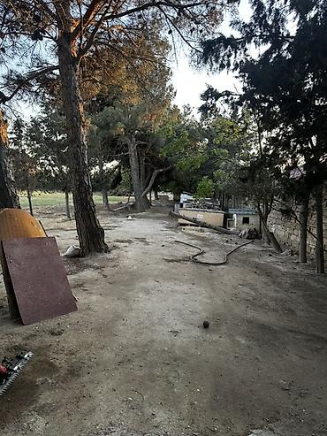 bilecerde evler: Kupça, çıxarışı var Meşə zolağına bitişik, geniş həyəti olan bağ evi — 8