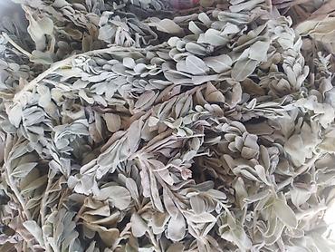 Соусы и специи: Qurudulmuş adaçayı (Salvia) – təbii aromatik ot - Tamamilə — 1