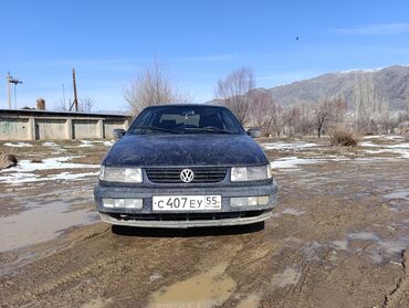 Volkswagen: Volkswagen Passat: 1994 г., 1.9 л, Механика, Дизель, Седан