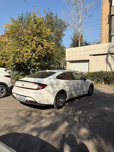 голф 2 капот: Hyundai Sonata: 2020 г., 0.2 л, Автомат, Гибрид, Седан — 4