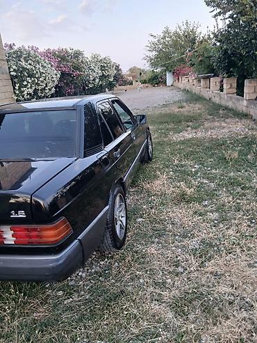 masın satısı: Mercedes-Benz 190 (W201): 1.8 l | 1991 il Sedan — 3