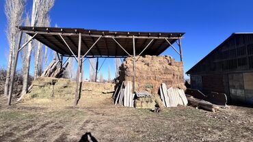 Корма для с/х животных: Сено в тюках - Формат: прямоугольные тюки, плотная перевязка — 7