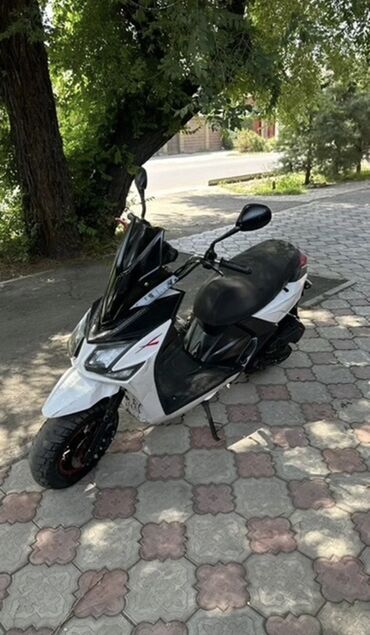 скутер електрический: СРОЧНАЯ ПРОДАЖА! Скутер SAMURAI 2024 🚨 📍 Цена: всего 39000 сом — ниже