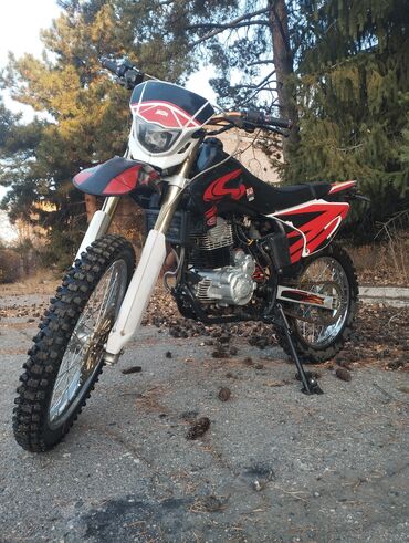 скутер кобра shunfeng hn125t 4 запчасти: Эндуро 300 куб. см, Бензин, Взрослый, Б/у