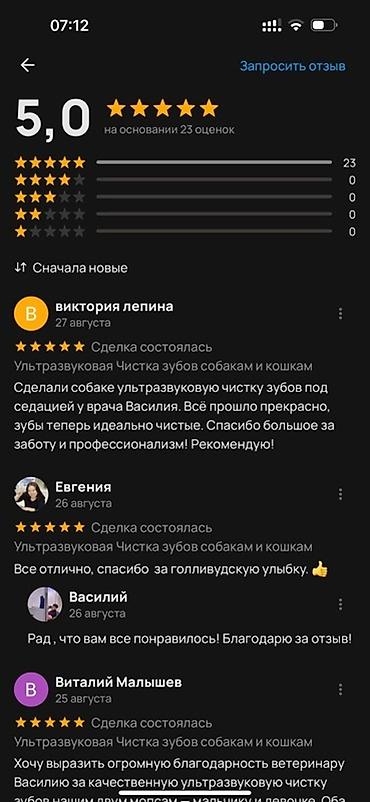 Услуги ветеринара: Ультразвуковая чистка зубов для собак и кошек на выезд! Здравствуйте! — 8
