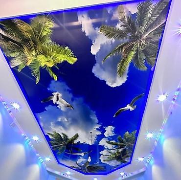 Натяжной потолок: Натяжной потолок Глянцевое, Матовое, 3D потолки Гарантия, Монтаж, Бесплатная консультация — 12