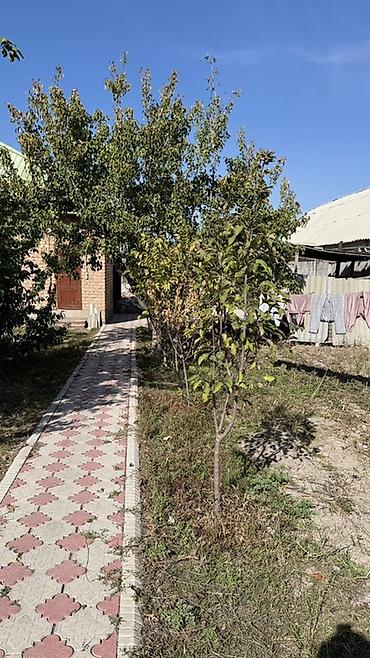дом м: 5 комнат, 120 м², 8 соток, Бишкек — 8