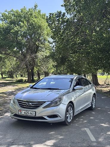 спойлер sonata: Hyundai Sonata: 2010 г., 2 л, Автомат, Газ, Седан — 1