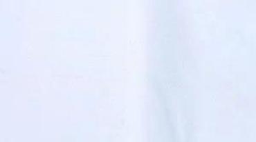 Ogrlice: Brezletna, lanac za džepni sat 6 komada. Cene su odredjene pojedinačno — 5