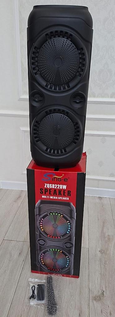 Продаю новую портативную акустическую систему Sing-e ZQS8229W с