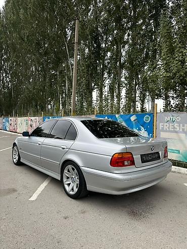 BMW: BMW 5 series: 2002 г., Механика, Бензин, Седан — 4