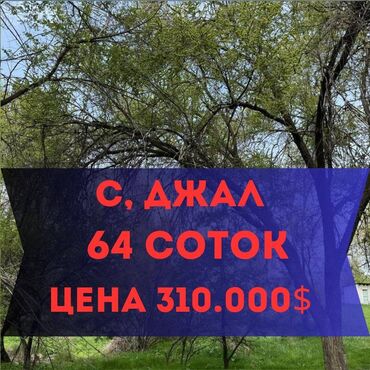 квартира берилет вефа: 64 соток, Курулуш, Кызыл китеп, Техпаспорт, Сатып алуу-сатуу келишими