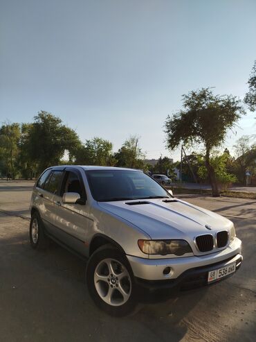 цилиндр на газ 53: BMW X5: 2002 г., 3 л, Автомат, Дизель, Кроссовер