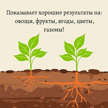 Удобрения и садовая химия: Удобрение Платная доставка — 8