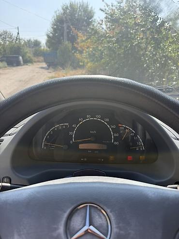 купить скотовоз: Легкий грузовик, Mercedes-Benz, Стандарт, Б/у — 7