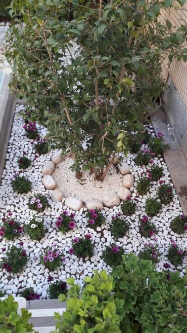 Digər bitirmə materialları: Təbii Ağ daşlar hər razmerdə mövcuddur, 1kq 1 azn Topdan satışda -da lalafo.az — 14 Digər bitirmə materialları: Təbii Ağ daşlar hər razmerdə mövcuddur, 1kq 1 azn Topdan satışda — 14