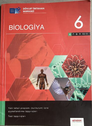 azerbaycan dili 6 ci sinif test cavablari: 6-cı ainifə aid 3 ədəd içi tamamilə təmiz DİM testləri