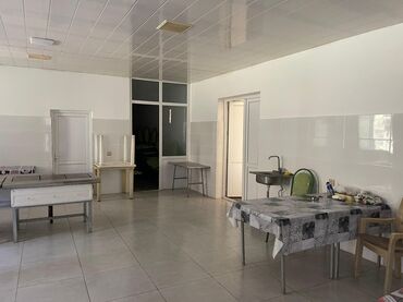 Restoran, kafelər: Günel Şadlıq Sarayı, Mingəcevir şəhərinin tam mərkəzi – geniş və — 8