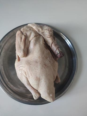Сельхозптицы: Pekin Ördəkləri, 800dən çox ördək var kuban ördeyi, ordeklerin 200ü — 3