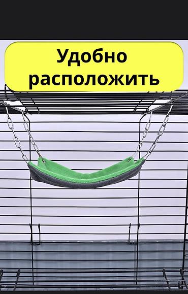 крысу: Гамаки подвесные для крыс, хомячков, мышей, песчанок, морских свинок — 5