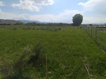 Продажа участков: 15 соток, Для сельского хозяйства, Красная книга — 1