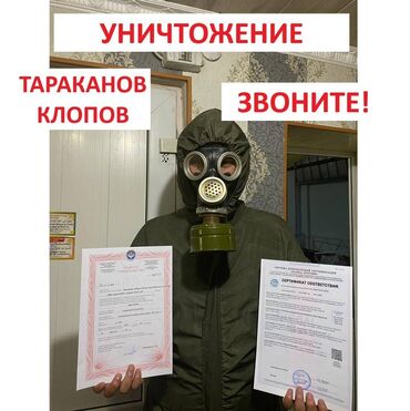 кредит за 5 минут на карту без отказа кыргызстан: Дезинфекция, дезинсекция, | Клопы, Блохи, Тараканы, | Офисы, Квартиры, Дома