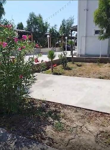 qusarda iş aşpaz köməkçisi: Ofisiant tələb olunur, Restoran, Təcrübəsiz — 4