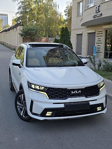 Kia: Kia Sorento: 2022 г., 1.6 л, Автомат, Гибрид, Кроссовер — 14