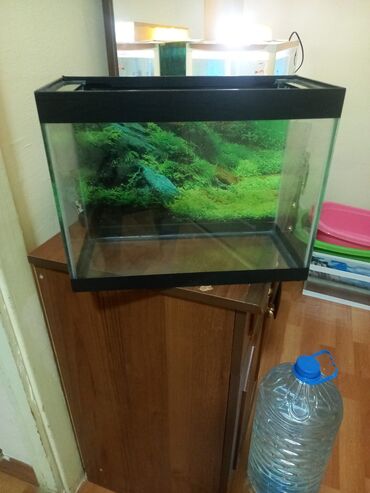 akvarium 90x40x50: Dördbucaq akvarium, Boş, 15 l, Ödənişli çatdırılma, Ünvandan götürmə