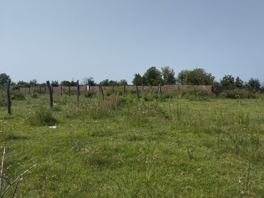 Torpaq sahələrinin satışı: 6 sot, Tikinti, Kupça (Çıxarış) -da lalafo.az — 3 Torpaq sahələrinin satışı: 6 sot, Tikinti, Kupça (Çıxarış) — 3