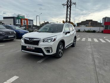 форестер 2015: Subaru Forester: 2019 г., 2.5 л, Вариатор, Бензин, Кроссовер