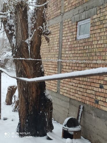 Отдам даром: Отдам тополь на дрова, сухой спилите забирите. в районе восточный