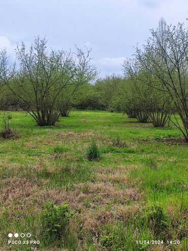 Torpaq sahələrinin satışı: 18 sot, Tikinti, Mülkiyyətçi, Kupça (Çıxarış) — 5