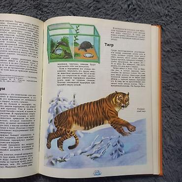 Другие книги и журналы: Книги. Три больших энциклопедии. Состояние хорошее, все страницы на — 14